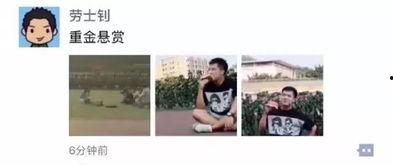 娱乐吃瓜资料来源,明星幕后故事大曝光